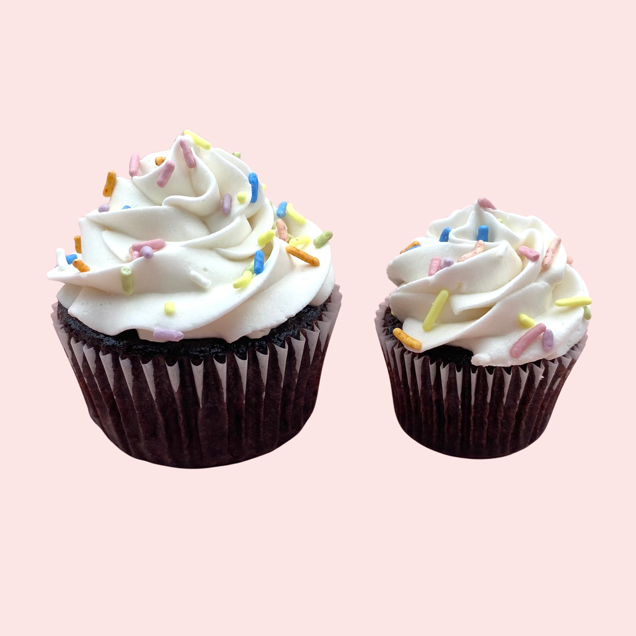 Classic Chocolate with Vanilla Buttercream